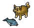 Kissa ja kala